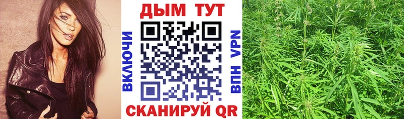 Продажа наркотиков Кущёвская КОКАИН  АМФЕТАМИН  Псилоцибиновые грибы  ГАШИШ  СОЛЬ  Марихуана 