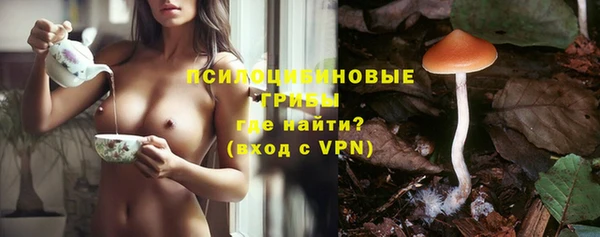 эйфоретик Краснотурьинск