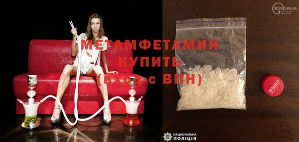 молекула духа Богданович